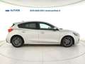 Ford Focus 1.0 ecoboost hybrid ST-Line 125cv Grigio - thumbnail 7