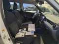 Suzuki Ignis 1.2 Dualjet HYBRID ALLGRIP Shine * Allrad, Kamera* Weiß - thumbnail 6