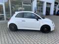 Fiat 500 S 1.3 69PS Komfort-P., Sport-P., Connect-P. Weiß - thumbnail 4