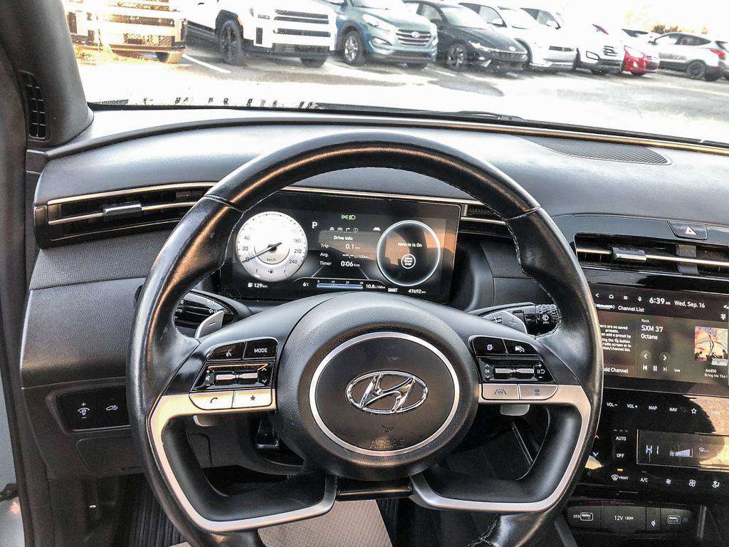 Image 15