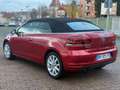 Volkswagen Golf Golf 1.6 TDI 105 FAP CR Carat Rojo - thumbnail 8