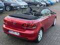 Volkswagen Golf Golf 1.6 TDI 105 FAP CR Carat Rojo - thumbnail 10