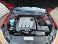 Volkswagen Golf Golf 1.6 TDI 105 FAP CR Carat Rojo - thumbnail 15