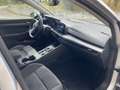 Volkswagen Golf Variant 1.5 tgi Style 130cv dsg - thumbnail 12