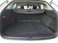 Skoda Octavia Combi 2,0 TDI DSG *LED MIT FLA & DYN BLINKER / ... Weiß - thumbnail 13