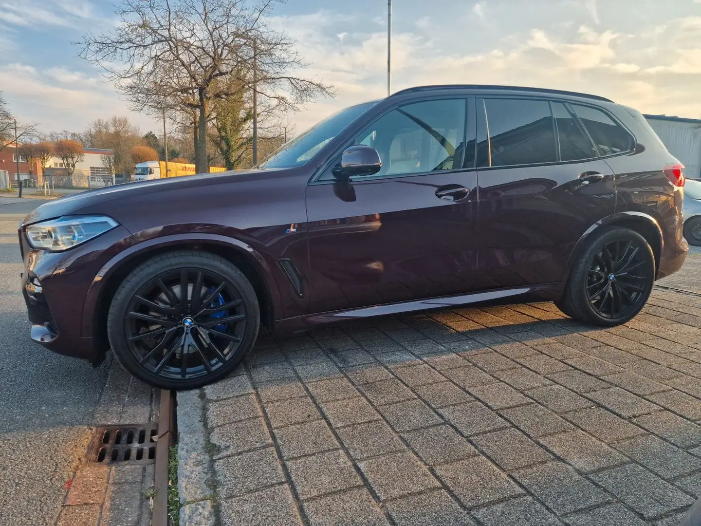 BMW X5 xDrive 40 d M-SPORT PANO SOFT-CLOSE SKY 22" Burdeos - 1