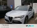 Alfa Romeo Stelvio 2.0 Turbo KAT Gri - thumbnail 1