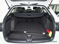 Volkswagen Golf Variant 1.5eTSI Life DSG LED ACC HeadupDisplay Weiß - thumbnail 12