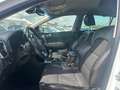Kia Sportage Sportage 1.7 CRDI 2WD GT Line Bianco - thumbnail 9