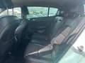 Kia Sportage Sportage 1.7 CRDI 2WD GT Line Bianco - thumbnail 10