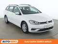Volkswagen Golf 1.6 TDI Comfortline BlueMotion Weiß - thumbnail 8
