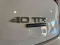 Audi Q5 40 TDI quattro-ultra Black line S tronic 150kW Blanco - thumbnail 21