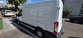 Ford Transit 2,0 EcoBlue L2H2 290 Trend Weiß - thumbnail 2
