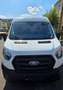 Ford Transit 2,0 EcoBlue L2H2 290 Trend Weiß - thumbnail 3