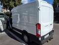 Ford Transit 2,0 EcoBlue L2H2 290 Trend Weiß - thumbnail 4