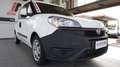 Fiat Doblo Doblò 1.6 MJT 105CV PL-TN Cargo Maxi Vetrato SX Wit - thumbnail 10