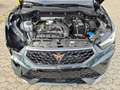 CUPRA Ateca 1.5 TSI DSG Panorama Leder Navi LED ACC Grün - thumbnail 6
