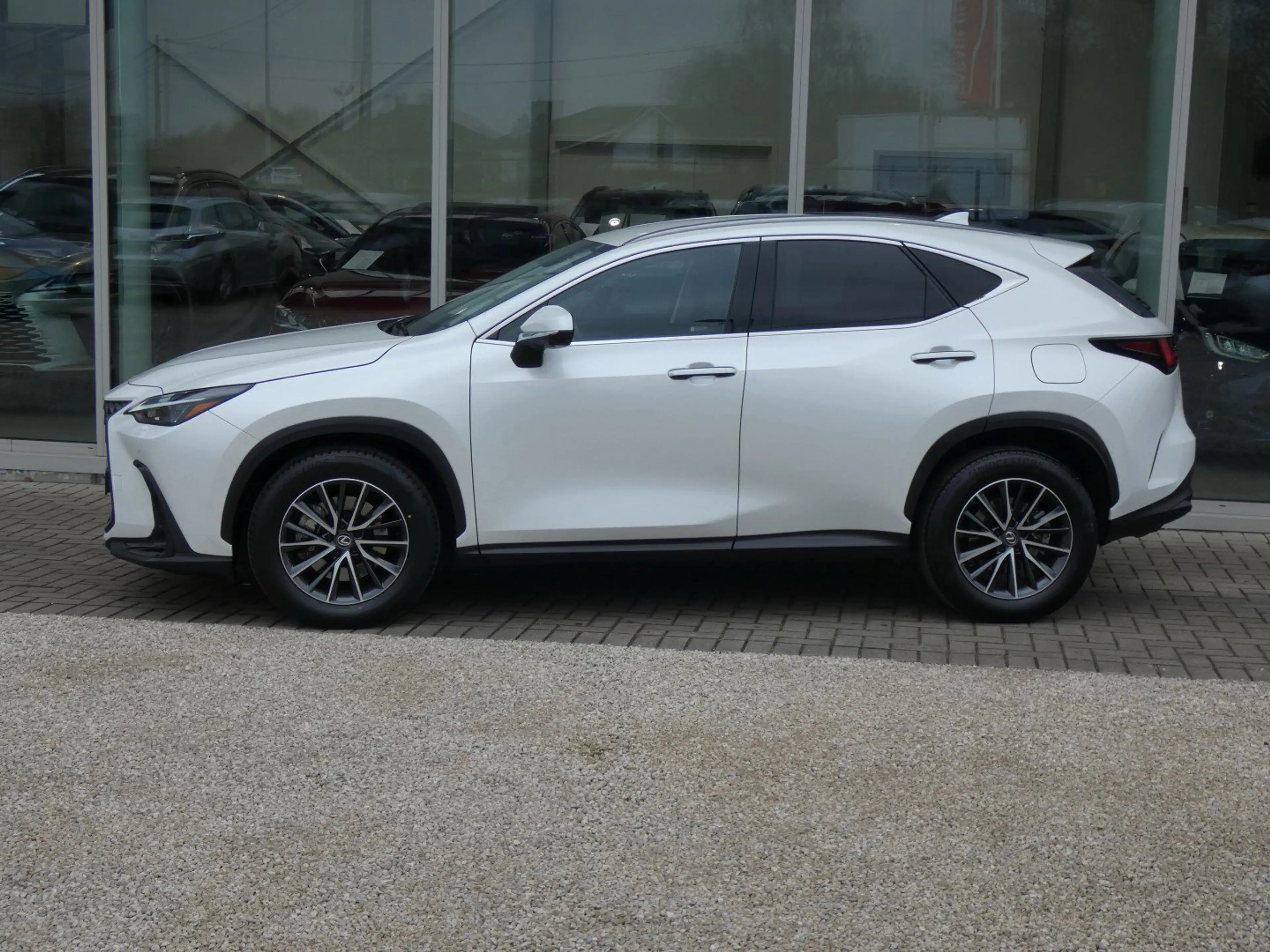 Lexus NX 450h+ *Plug-in* AWD Executive Line +Zetelventi +Leder — photo 4