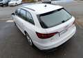 Audi A4 Avant II 40 2.0 TDi Mild Hybrid S-tronic7 204 cv BVA S-LINE PREMIERE Main Weiß - thumbnail 5