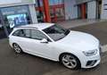 Audi A4 Avant II 40 2.0 TDi Mild Hybrid S-tronic7 204 cv BVA S-LINE PREMIERE Main Weiß - thumbnail 9