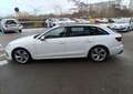 Audi A4 Avant II 40 2.0 TDi Mild Hybrid S-tronic7 204 cv BVA S-LINE PREMIERE Main Weiß - thumbnail 4