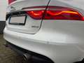 Jaguar XF 30d 300PS R-Sport Aut.*HEAD-UP*DIGITALTACHO Weiß - thumbnail 8