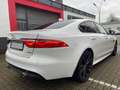 Jaguar XF 30d 300PS R-Sport Aut.*HEAD-UP*DIGITALTACHO Weiß - thumbnail 7