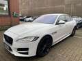 Jaguar XF 30d 300PS R-Sport Aut.*HEAD-UP*DIGITALTACHO Weiß - thumbnail 2