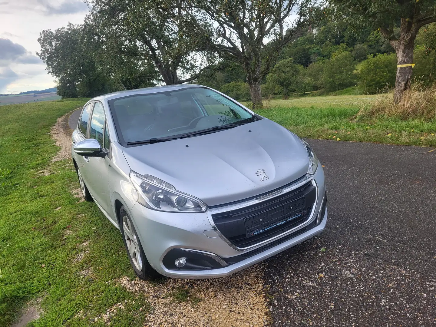Peugeot 208 Style DAB Navi PDC SHZ Grau - 2