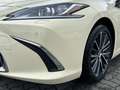 Lexus ES 300 LEXUS IST TAXI DES JAHRES*SOFORT* verfügbar! Zilver - thumbnail 6
