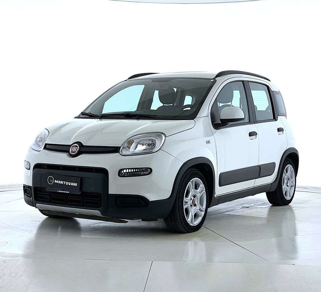Fiat Panda Panda 1.0 FireFly S&S Hybrid