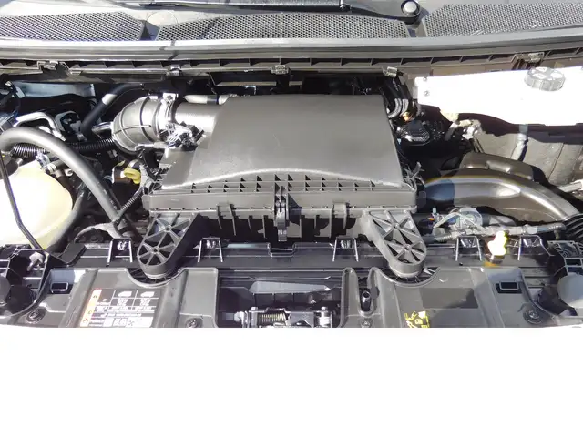Volkswagen Caravelle view 14
