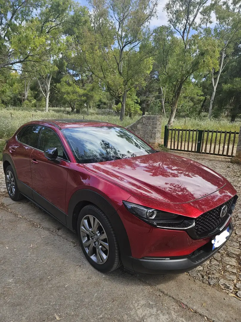 Mazda CX-30 2.0 m-hybrid Exclusive Leather Pack White 2wd 180c Rosso - 1