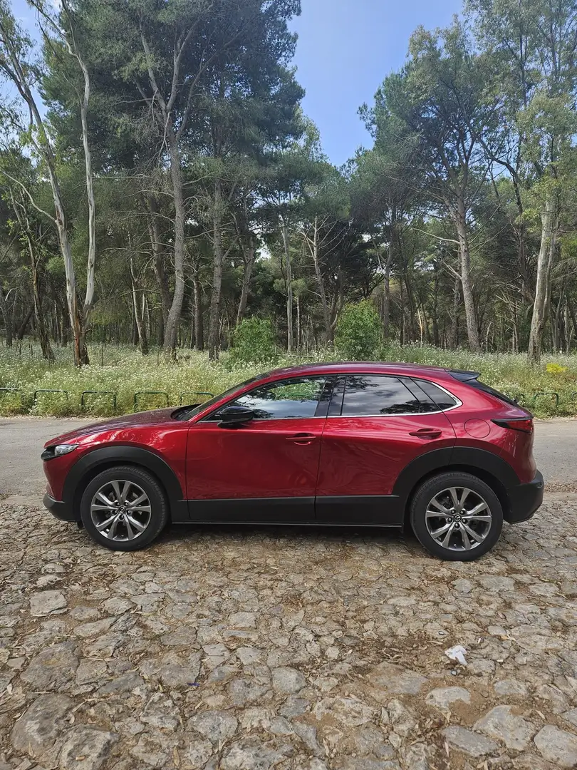 Mazda CX-30 2.0 m-hybrid Exclusive Leather Pack White 2wd 180c Rosso - 2