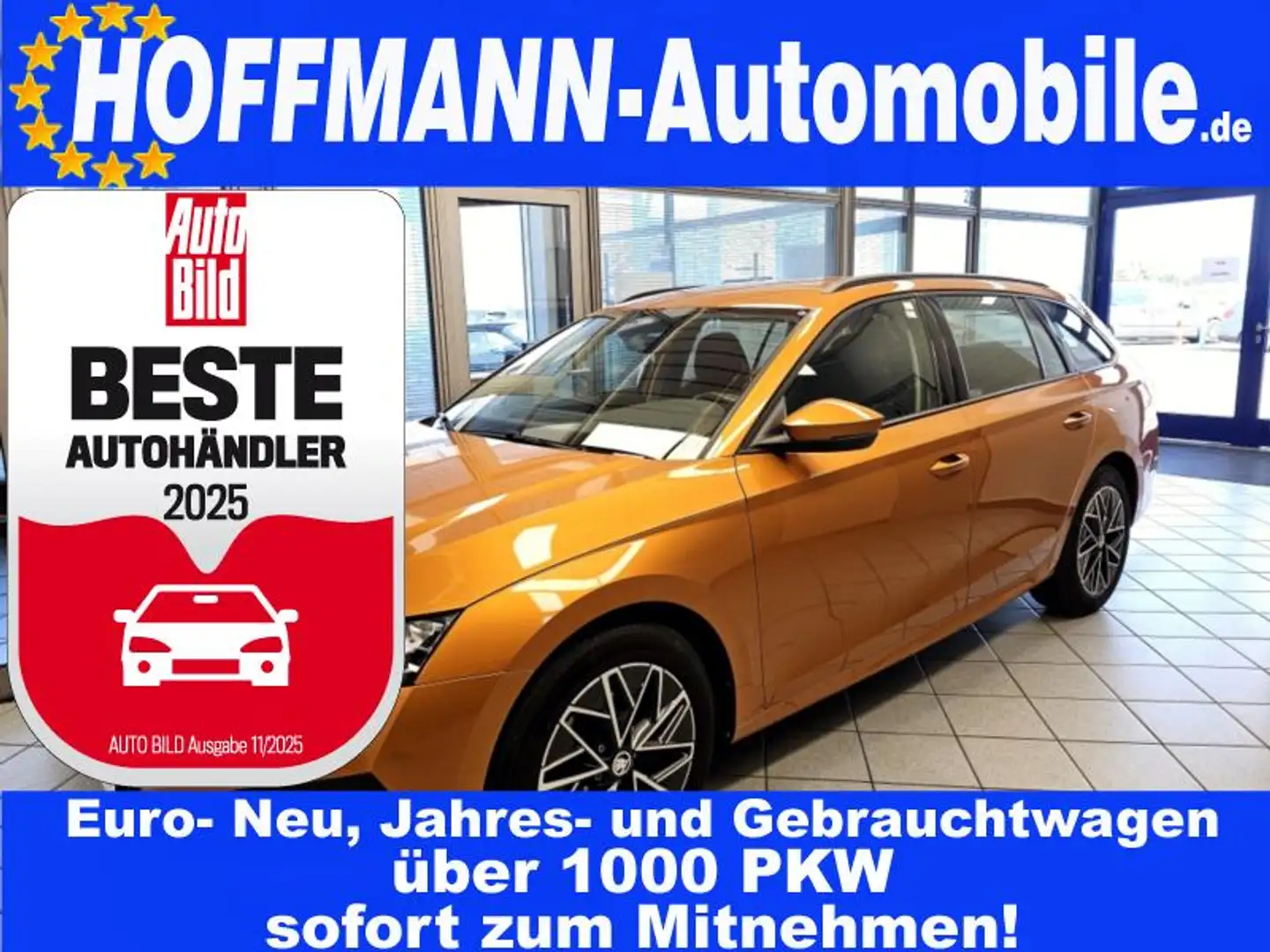 Skoda Octavia Ambition Climatr.,Alu 17Z,Sitzhzg. Orange - 1