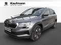 Skoda Karoq 4x4 Selection TDI DSG Grau - thumbnail 1
