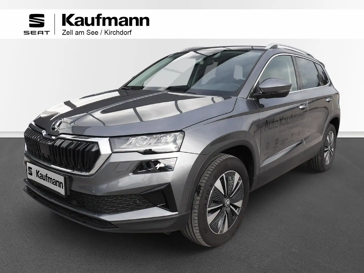 Skoda Karoq 4x4 Selection TDI DSG Grau - 1