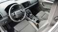Skoda Karoq 4x4 Selection TDI DSG Grau - thumbnail 4