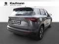Skoda Karoq 4x4 Selection TDI DSG Grau - thumbnail 2