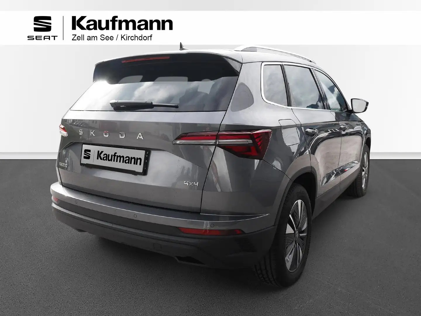 Skoda Karoq 4x4 Selection TDI DSG Grau - 2