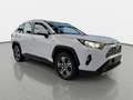 Toyota RAV 4 RAV 4 HYBRID 2.5 VVT-I ECVT BUSINESS EDITION 4X2 N Weiß - thumbnail 3