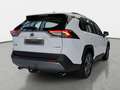 Toyota RAV 4 RAV 4 HYBRID 2.5 VVT-I ECVT BUSINESS EDITION 4X2 N Weiß - thumbnail 4