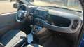 Fiat Panda Cross 1.0 FireFly S&S Hybrid Rot - thumbnail 8