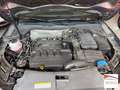 Audi Q3 2.0 tdi Sport 4Edition quattro 150cv s-tronic Silber - thumbnail 19