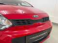 Kia Rio 1,2 MPI Titan NUR 46TKM Rot - thumbnail 4