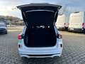 Ford Kuga Plug-In Hybrid ST-Line Technologie Paket Blanc - thumbnail 6