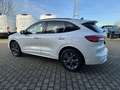 Ford Kuga Plug-In Hybrid ST-Line Technologie Paket Blanc - thumbnail 7