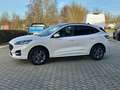 Ford Kuga Plug-In Hybrid ST-Line Technologie Paket Blanc - thumbnail 8