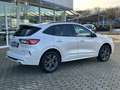 Ford Kuga Plug-In Hybrid ST-Line Technologie Paket Blanc - thumbnail 4
