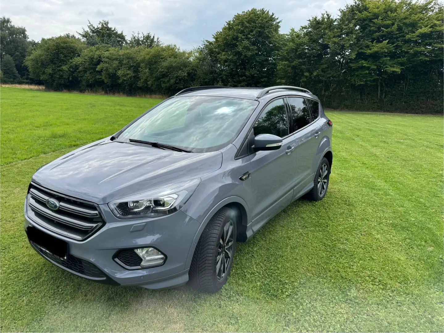Ford Kuga ST-Line Grijs - 2